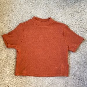 Shirtsleeve turtleneck top